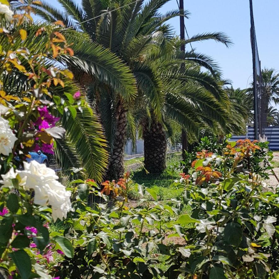 Malibu Summer Studios Дассия Экстерьер фото